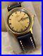 OMEGA_Day_Date_Automatic_RARE_VINTAGE_COLLECTOR_s_Serviced_01_ork