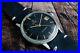 Omega_Vintage_Seamaster_Automatic_Rare_Tropical_Gilt_Patina_Dial_Steel_Watch_01_jnnf