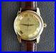 RARE_VINTAGE_OMEGA_SEAMASTER_CALENDAR_PIE_PAN_DeLUXE_18K_DIAL_AUTOMATIC_CAL_503_01_qiad