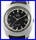 Rare_OMEGA_Seamaster_Auto_Date_Cal_1001_Stainless_Steel_Mens_Wrist_Watch_1970_01_qel