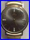 Rare_Omega_D_6672_Mens_Watch_12_Diamonds_14K_Gold_CAL_620_Gray_Pearlescent_01_mlw