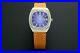 Rare_Vintage_Omega_166_0211_Seamaster_Day_Date_Purple_Dial_Watch_01_bp