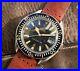 Ultra_rare_Vintage_diver_Omega_Seamaster_300_166_024_with_stunning_gilt_dial_01_cy
