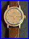 Vintage_Mens_Omega_Gold_Tone_Automatic_Cal_750_1660140_Rare_Dial_Running_01_cqv