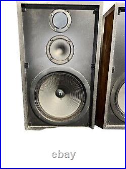 Vintage & Rare Omega 300 Speakers