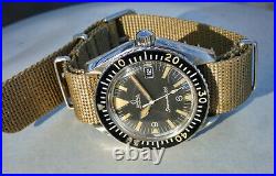 Vintage Rare Omega Seamaster 300 Diver Watch Big Triangle 166.024 166024