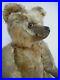 Wonderful_Rare_Early_14_Omega_British_Mohair_Teddy_Bear_With_Great_Character_01_dt